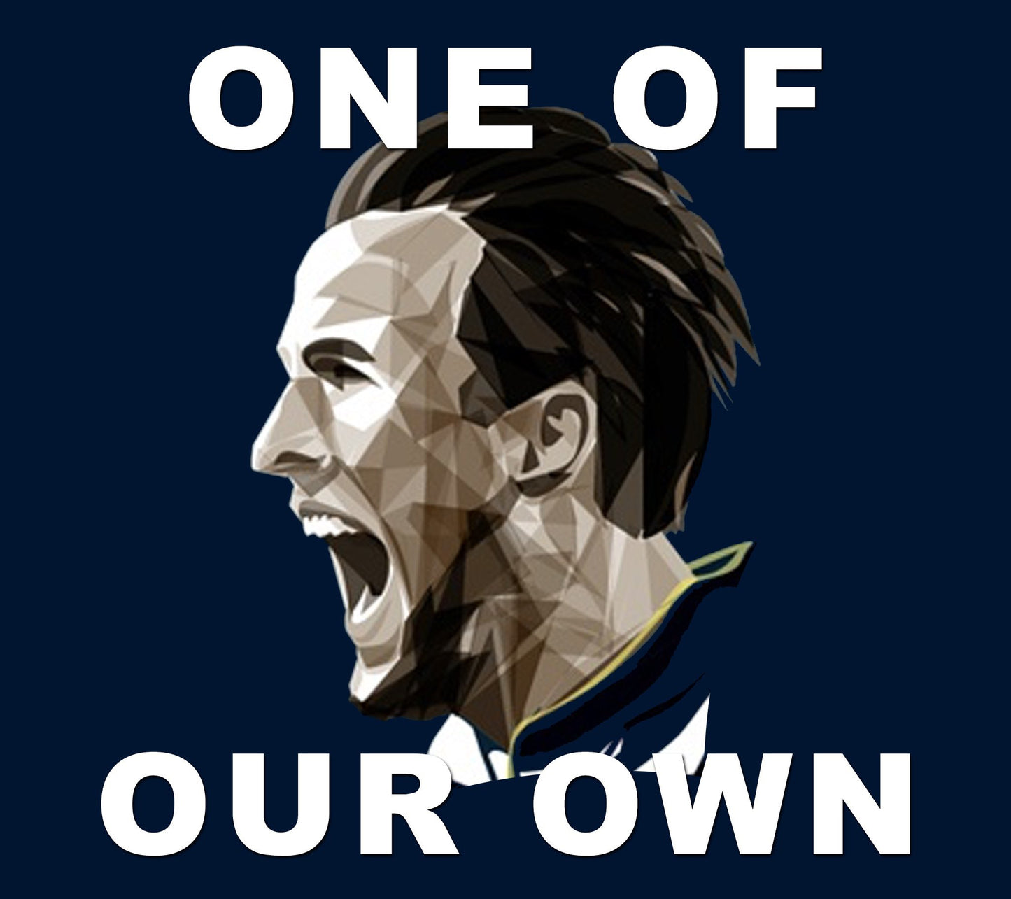 Spurs Stickers - Collection #2 (20 stickers)