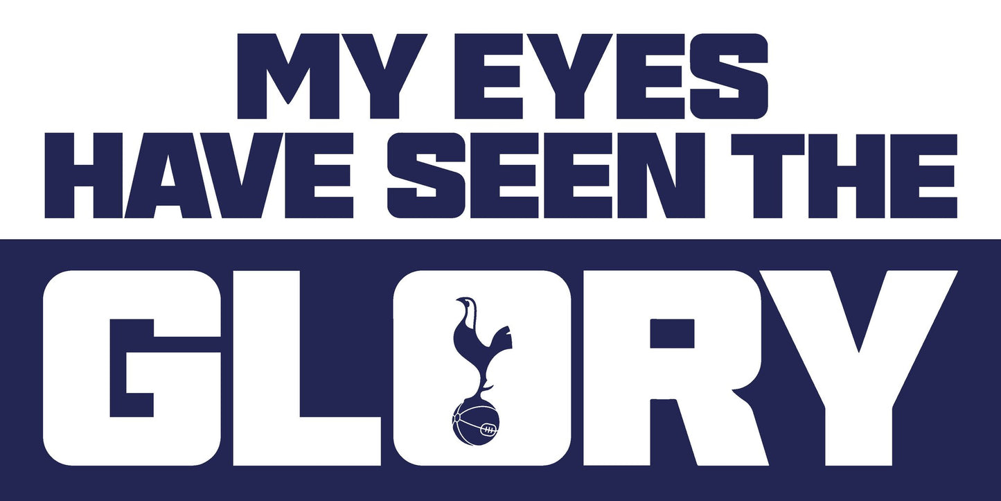 Spurs Stickers - Collection #3 (20 stickers)