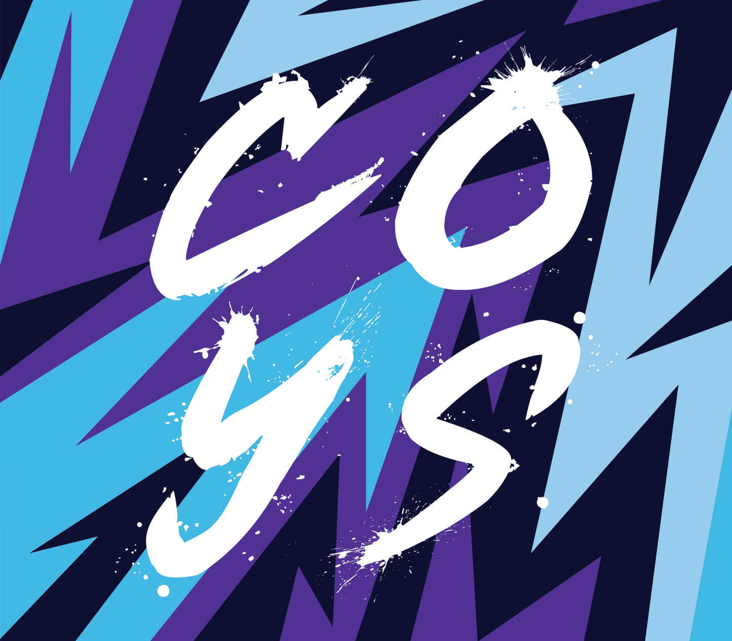 Flags Crowdfunder 2025/26